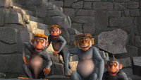 The Race