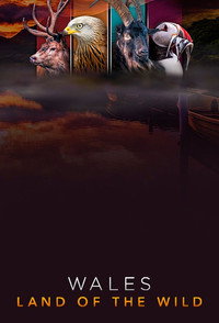 Постер сериала «Wales: Land of the Wild (2019)» — (2 из 4)