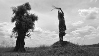 «Столетие рождений (2011)» — обои к фильму #1
