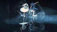 «A Swan Lake (2014)» — обои к фильму #2