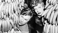 «The Fuller Brush Girl (1950)» — обои к фильму #1