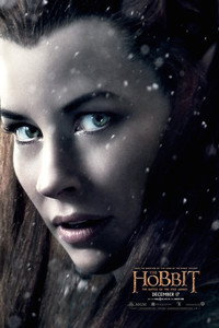 Постер фильма «Хоббит: Битва пяти воинств (2014)» — (35 из 134)