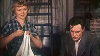 «Медовый месяц (1956)» — обои к фильму #1
