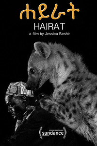 Постер фильма «Hairat (2017)» — (3 из 4)