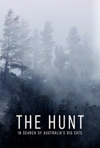 Watch The Hunt: In Search of Australia's Big Cats 123Movies