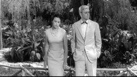 «I dritti (1957)» — обои к фильму #3