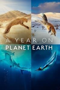 copertina serie tv A+Year+on+Planet+Earth 2022