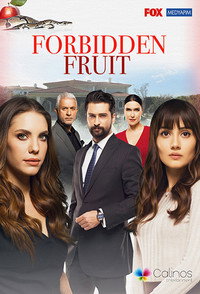 Постер сериала «Запретный плод (2018-2023)» — (2 из 13)