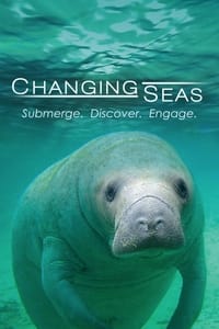 copertina serie tv Changing+Seas 2009