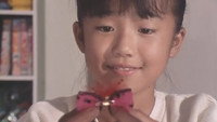 The Mysterious Brooch
