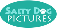 Salty Dog Pictures