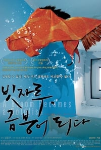 빗자루, 금붕어 되다 (2010)