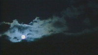 Обои к фильму «Светлячок (2000)» — (15 из 27)