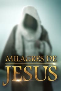 tv show poster The+Miracles+of+Jesus 2014