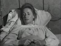S08E33 - (1963)