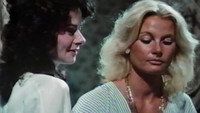 «The Tale of Tiffany Lust (1981)» — обои к фильму #1