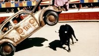Herbie Goes Bananas
