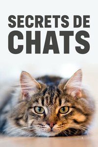 Poster de Secrets de chats