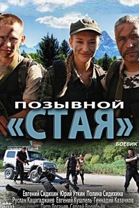 Позывной «Стая» (2013)