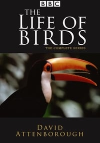 Poster de La vida de las aves