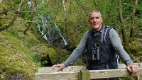 The Rheidol Valley