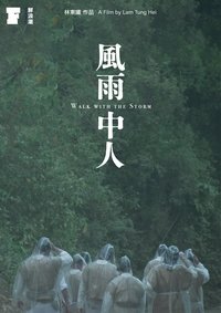 Poster de 風雨中人