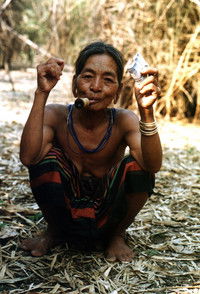 Imagem do Filme Expedice Rattanakiri