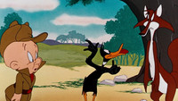 «What Makes Daffy Duck (1948)» — обои к мультфильму #1