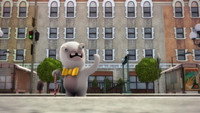 Rabbid Snob