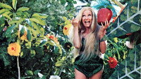 «Частный флот сержанта О'Фаррелла (1968)» — обои к фильму #1