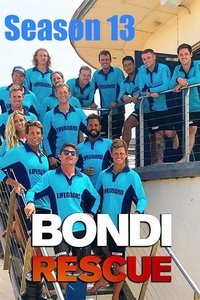 Season 13 Poster