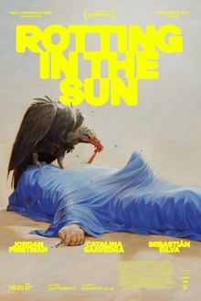 Rotting in the Sun (2023)