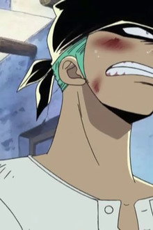 Deliver Princess Vivi! The Luffy Pirates Set Sail!