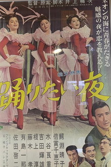 The Night We Danced poster