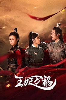 Hail to the Princess poster