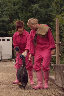 Niet slecht! Voor een paardensnul..