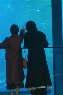 I Shouldn't Take a Step Forward, But Nevertheless