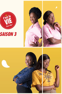 C'est la vie ! poster