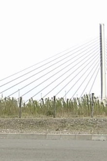 A New President Appears