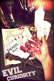 An Evil Curiosity poster