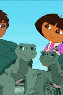 Save The Giant Tortoises