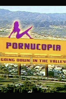 Pornucopia: Going Down in The Valley poster