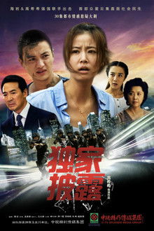独家披露 poster