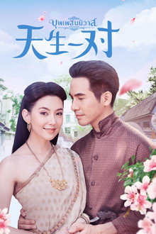 天生一对优酷版 poster