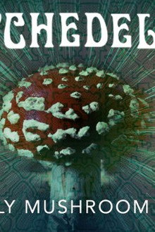 The Holy Mushroom Theory