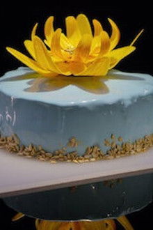 Bittersweet Surprises