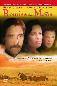 Promise the Moon poster