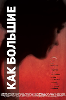 Just Like Grown Ups poster