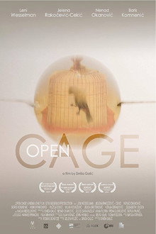 Open Cage poster