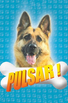 Pulsar poster